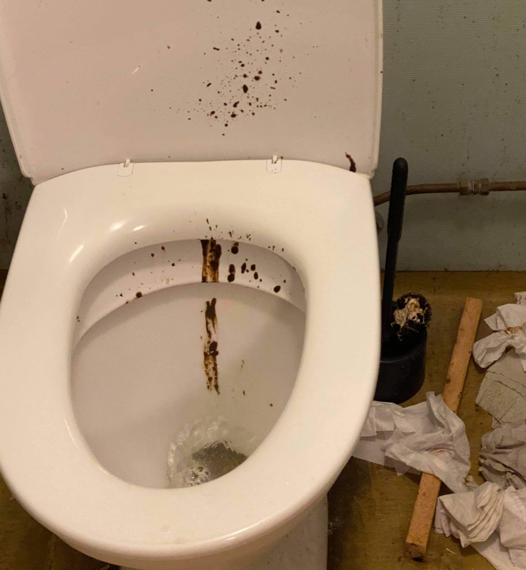 Denna bild visar en "hyfsat okej" toalett på en rastplats utmed vägen, men det stora problemet för trafikpoliserna som ska arbeta på kontrollplatserna är att snuskiga chaufförer inte ens bemödar sig ut i kringliggande natur när de ska göra "nr 2" vilket innebär att poliser och bilinspektör ska kliva runt dessa högar när de arbetar.