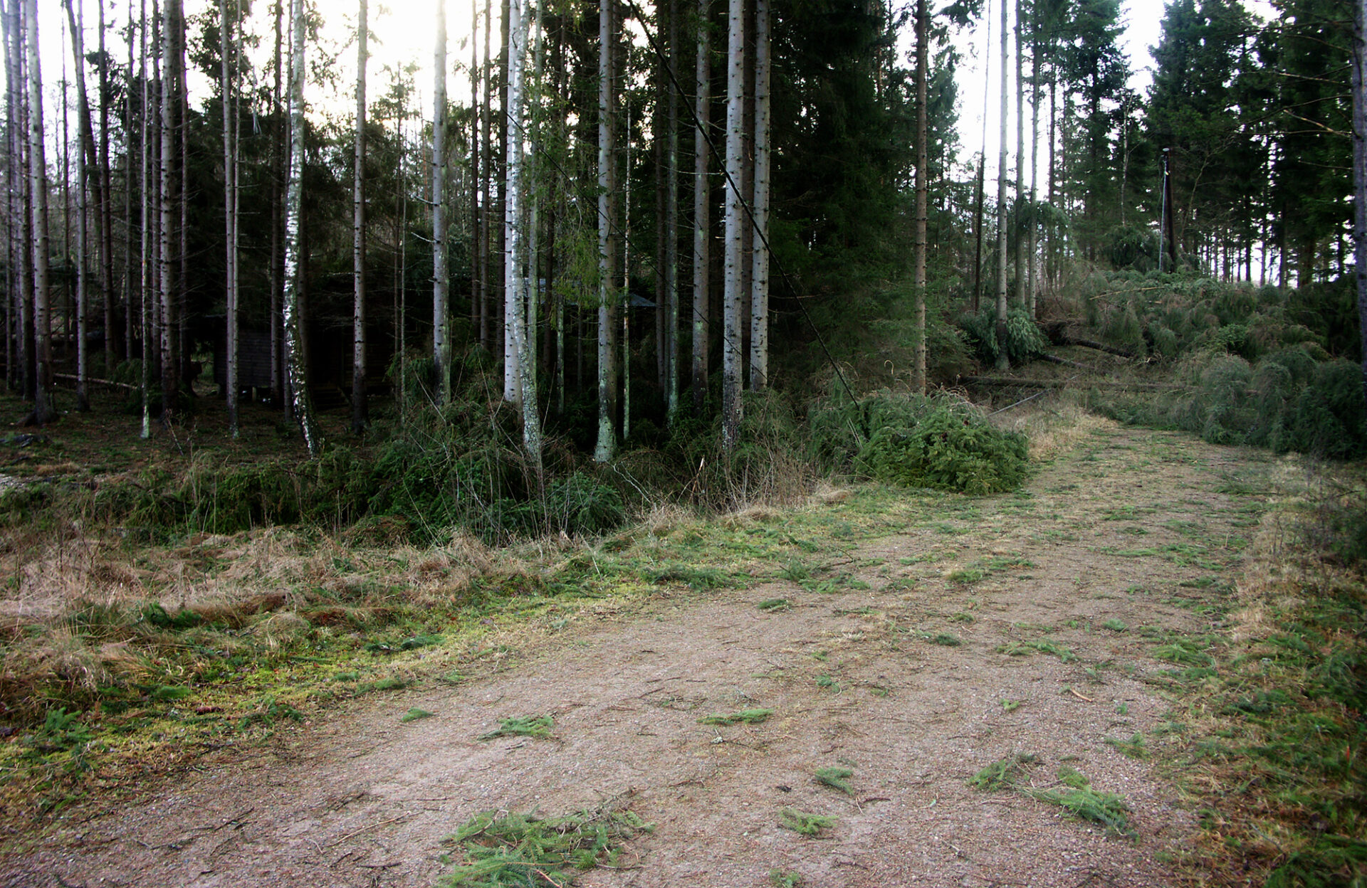 Genrebild. Foto: Göran Rosengren, arkiv